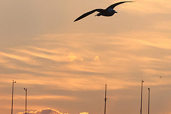 저물어 가는 2024년 갑진년…올해 마지막 해넘이 볼 수 있는 명소는?