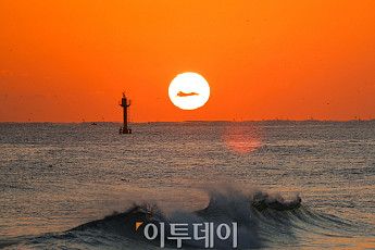 2025년 을사년 '푸른 뱀'의 해…센스 있는 새해 인사말은?