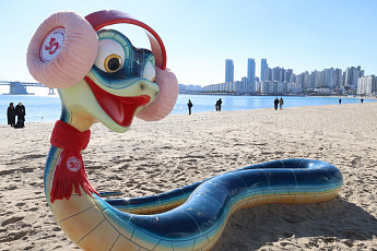 '푸른 뱀의 해'…뱀띠 스포츠 스타들은 어떤 드림카 탈까 [셀럽의카]