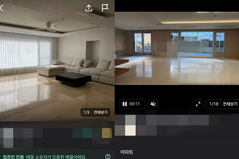 “펜트하우스도 당근”… 복비 아끼려 직거래, ‘먹튀’ 주의해야