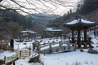 긴 설연휴, 한복 입고 한컷 어때?…경기관광공사 포토스팟 5선