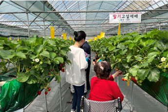 서울시, 사회복지시설 이용자 대상 ‘스마트농장 힐링 프로그램’ 운영