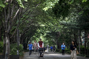 ‘경의선숲길 사용료’ 421억 내야 하나…서울시, 2심 패소에 대법 상고