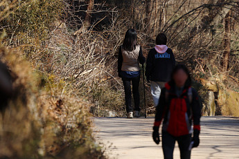 4월 등산사고 급증⋯ 행안부, 안전사고 '주의보' 발령