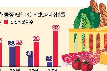 이제 눈치도 안 본다…소비재 기업, 수시로 N차 인상[가격인상의 명암]