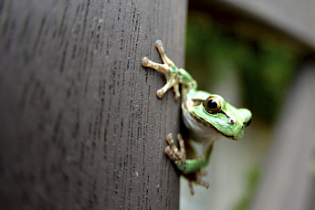 오늘은 '경칩' 24절기 중 세 번째 절기…경칩 뜻은?