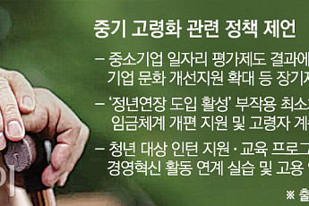 정부 대응은…“다각적 접근 필요” [중소기업이 늙어간다]