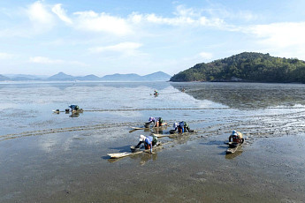 서산‧무안‧고흥‧여수 갯벌 세계유산 되나?…유네스코 완성도 검사 통과