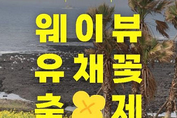 포근해진 날씨, 봄꽃 축제 즐겨볼까 [주말N축제]
