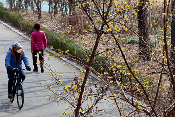 일교차 20도 '봄 날씨'…건조·강풍 겹쳐 화재 주의 [날씨]