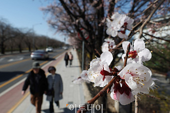 월요일 쌀쌀한 출근길…한낮은 '포근' 미세먼지 '나쁨' [날씨]