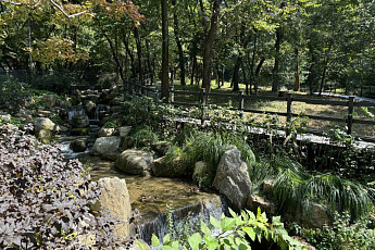 금천구, 시흥계곡 생태공간으로 재탄생