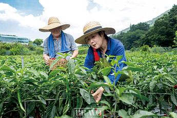 은근히 에로틱한 전원생활