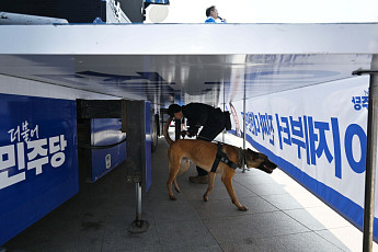 은퇴한 군견·경찰견도 새 가족 찾는다…입양하면 연 100만원 돌봄비 지원