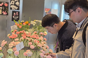 중국산 카네이션이 국내산으로⋯화훼류 원산지 표시 위반 72곳 적발