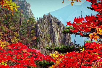 한반도 대표 명산 '금강산' 유네스코 세계유산 유력⋯등재 신청 4년만