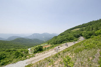 강원랜드-정선군-강원관광재단, 운탄고도 트레킹 행사 업무협약 체결