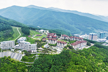 하이원리조트, 세대 맞춤형 이색 웰니스 본격 시동