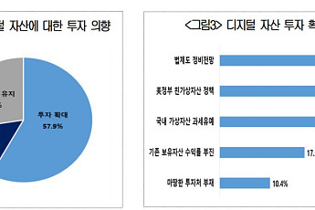 새 정부 디지털 자산 정책 기대감에…국민 10명 중 6명 “투자 확대”