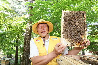 LG, 자연 생태계 살리는 '토종 꿀벌' 키우며 ESG 앞장 [동반성장·상생경영]