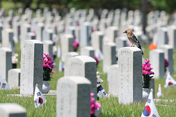 6.25전쟁 75주년, 잊지 말아야 할 참전국