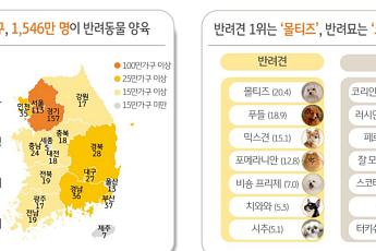 KB금융 “반려동물 인구 1546만⋯생애지출 규모 2년 새 2배 증가”