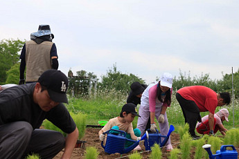 서울시, 노을공원에 ‘제로웨이스트 정원’ 조성…시민 참여형 가드닝 본격화