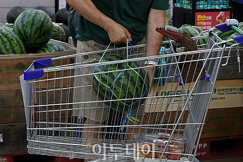 고기, 계란, 생선, 수박까지 금값⋯‘장봐서 해먹느니 HMR 산다’