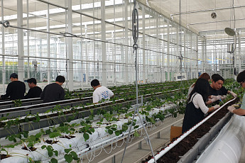 농업도 디지털 인재 시대…서울여대·한농대, 교육 거점 합류