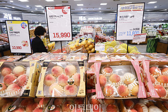 수박 가격 한 달새 31% ↑⋯‘폭염ㆍ폭우 후폭풍’ 수입산 과일 확대 [물가 돋보기]