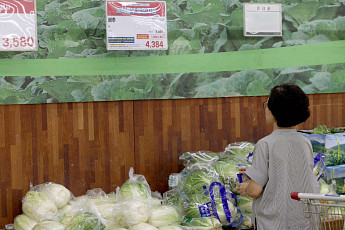 7월 물가 2.1% 상승…폭염·폭우로 과일·채소 가격 '껑충' [종합]