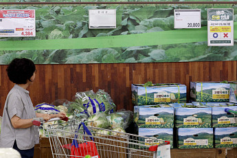 폭염ㆍ폭우에 배추 한포기 7000원 넘었다 [물가 돋보기]