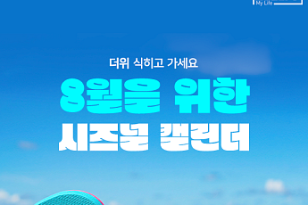 [카드뉴스] 지금 꼭 봐야할 '8월 전국 축제 캘린더'