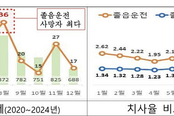 5년간 졸음운전 252명 사망…65세 이상 고령운전자 취약
