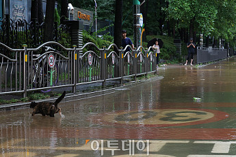 지하차도 통제·침수 피해…호우특보 속 안전재난문자 발송