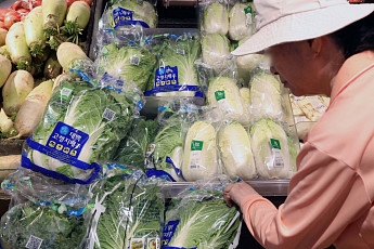 기후변화에 북상하는 농작물…양구 사과·남해 감귤 뜬다