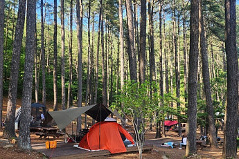 '쉼'의 미학...광양 백운산휴양림~배알도 섬정원까지