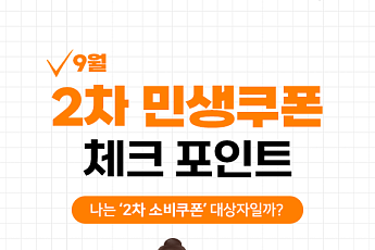 [카드뉴스] '2차 소비쿠폰' 받을 수 있을까? 소득 기준 정리