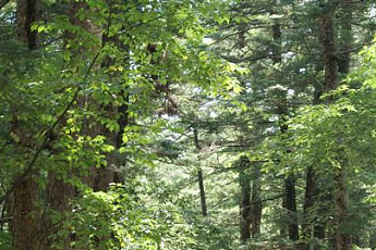 [여행]부안, 그곳에 가면…마음이 편해진다