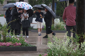 [날씨] 충청·남부 소나기 최대 60mm…찜통더위 여전