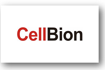 [BioS]셀비온, 500억 규모 CPS·CB 발행 결정