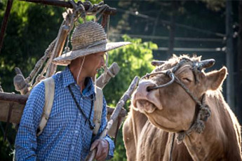 소와 사람의 눈빛 교감…‘동물사랑 사진 공모전’ 대상 영예