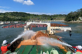 '적조 비상' 전남 여수 양식어류 10만6000여 마리 폐사