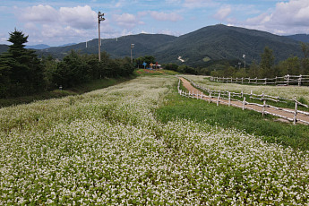 “선선한 가을, 늦캉스 어때요?” 리조트, 초가을 특화 프로그램 경쟁 [배근미의 호스테리아]