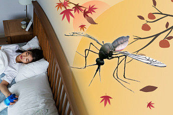 가을 모기, 진짜 더 독할까?…모기 속설 모음집 [해시태그]