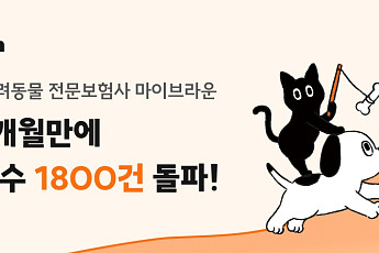 “‘반려동물만 생각하는 보험’ 통했다” 마이브라운, 론칭 두 달 만에 계약건수 1800건 돌파