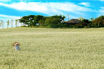 매달 둘째 주 농촌으로 떠나면 최대 50% 할인…‘농촌관광 가는 주간’ 연중 운영
