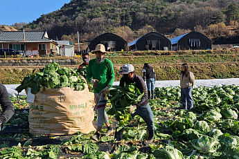 농촌 일손난에 외국인 계절근로자 9.3만명 배정…역대 최대 규모