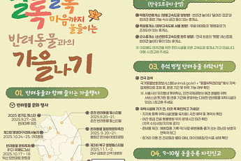 반려견 요트투어부터 휴게소 놀이터까지…