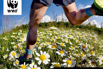 짐 보관·배번표 혼선…어스마라톤 아쉬운 후기